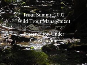 Trout Summit 2002 Wild Trout Management Blank Slide