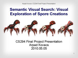 Arpad Kovacs CS 294 Final Project Presentation Semantic