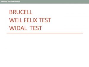 BRUCELL WEIL FELIX TEST WIDAL TEST BRUCELL Gram