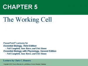 CHAPTER 5 The Working Cell Power Point Lectures