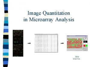 Image Quantitation in Microarray Analysis More tomorrow Microarray