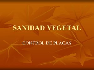 SANIDAD VEGETAL CONTROL DE PLAGAS INSECTICIDAS QUIMICOS ORGNICOS