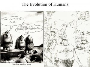 The Evolution of Humans The Evolution of Humans
