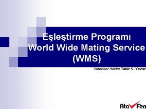 Wms programı