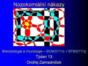 Nozokomiln nkazy Mikrobiologie a imunologie BOMI 0111 s