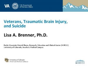 Veterans Traumatic Brain Injury and Suicide Lisa A