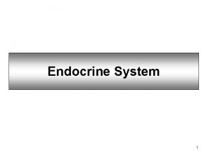 Endocrine System 1 Endocrine Glands The endocrine system
