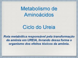 Metabolismo de Aminocidos Ciclo do Ureia Rota metablica