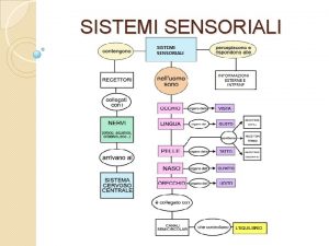 SISTEMI SENSORIALI Funzioni Mettere il corpo umano in