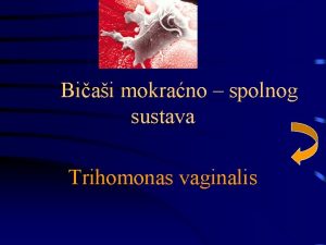 Biai mokrano spolnog sustava Trihomonas vaginalis Povijest Uzronik