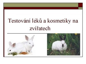 Testovn lk a kosmetiky na zvatech Testovn kosmetiky