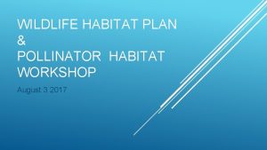 WILDLIFE HABITAT PLAN POLLINATOR HABITAT WORKSHOP August 3