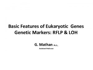 Basic Features of Eukaryotic Genes Genetic Markers RFLP