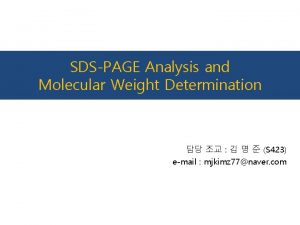 SDSPAGE Analysis and Molecular Weight Determination S 423