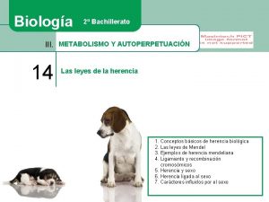 Biologa 2 Bachillerato III METABOLISMO Y AUTOPERPETUACIN 14