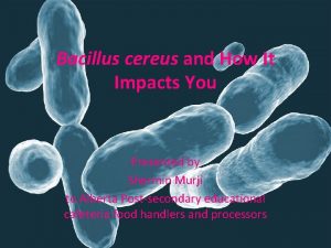 Bacillus cereus and How It Impacts You Presented