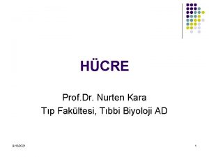HCRE Prof Dr Nurten Kara Tp Fakltesi Tbbi