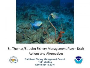 St ThomasSt John Fishery Management Plan Draft Actions