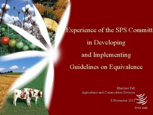 The Experience of the SPS Committe in Developing