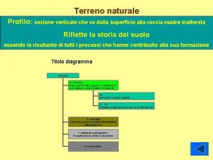 Terreno naturale Profilo sezione verticale che va dalla