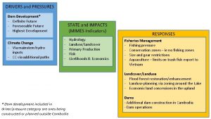 DRIVERS and PRESSURES Dam Development Definite Future Foreseeable