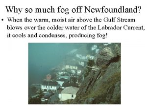 Why so much fog off Newfoundland When the