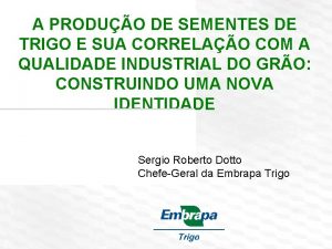 A PRODUO DE SEMENTES DE TRIGO E SUA