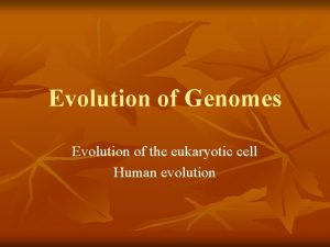 Evolution of Genomes Evolution of the eukaryotic cell