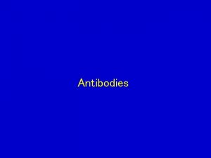 Antibodies Introduction Definition Immunoglobulins represent animal proteins which