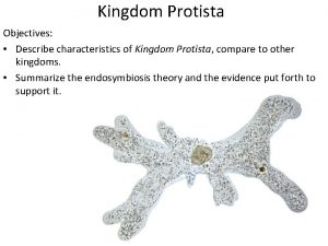 Kingdom Protista Objectives Describe characteristics of Kingdom Protista