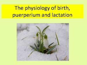 The physiology of birth puerperium and lactation Objectives