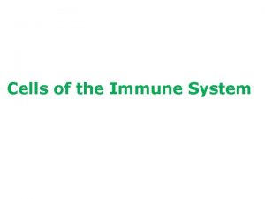 Cells of the Immune System Lymphocytes derived from