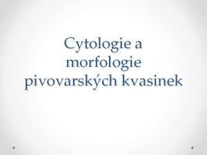 Cytologie a morfologie pivovarskch kvasinek Morfologie nauka o