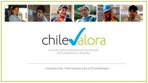 Competencias Transversales para la Empleabilidad Elaboracin del Catalogo