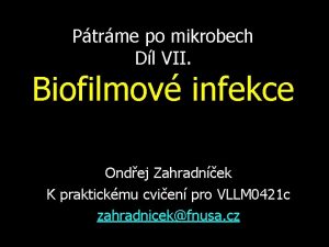 Ptrme po mikrobech Dl VII Biofilmov infekce Ondej