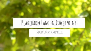 Blakeburn Lagoon Powerpoint Nikola LangrBenedykczak Heron at the