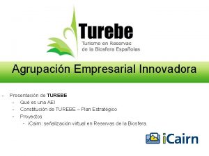 Agrupacin Empresarial Innovadora Presentacin de TUREBE Qu es