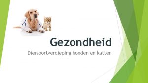 Gezondheid Diersoortverdieping honden en katten Leerdoelen Gezondheid De