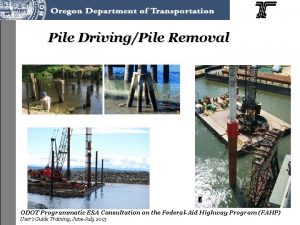 Pile DrivingPile Removal ODOT Programmatic ESA Consultation on