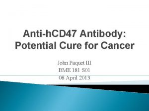 Antih CD 47 Antibody Potential Cure for Cancer