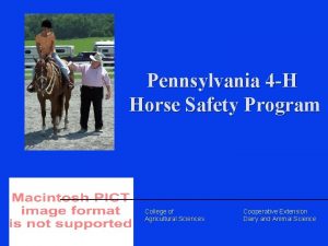 Pennsylvania 4 H Horse Safety Program College of