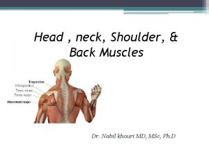 Head neck Shoulder Back Muscles Dr Nabil khouri