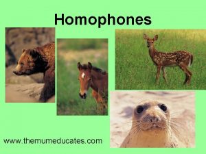 Homophones www themumeducates com Homophones are words that