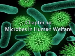 Chapter 10 Microbes in Human Welfare USEFUL ASPECTS