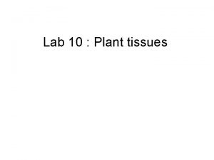 Lab 10 Plant tissues Plant tissues Tissues can