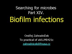 Searching for microbes Part XIV Biofilm infections Ondej