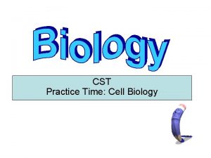 CST Practice Time Cell Biology 1 Compared to