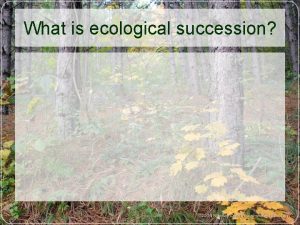 What is ecological succession Changes in Ecosystems Ecological