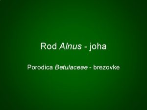 Rod Alnus joha Porodica Betulaceae brezovke Ishodi uenja