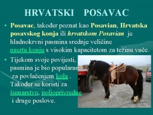 HRVATSKI POSAVAC Posavac takoer poznat kao Posavian Hrvatska